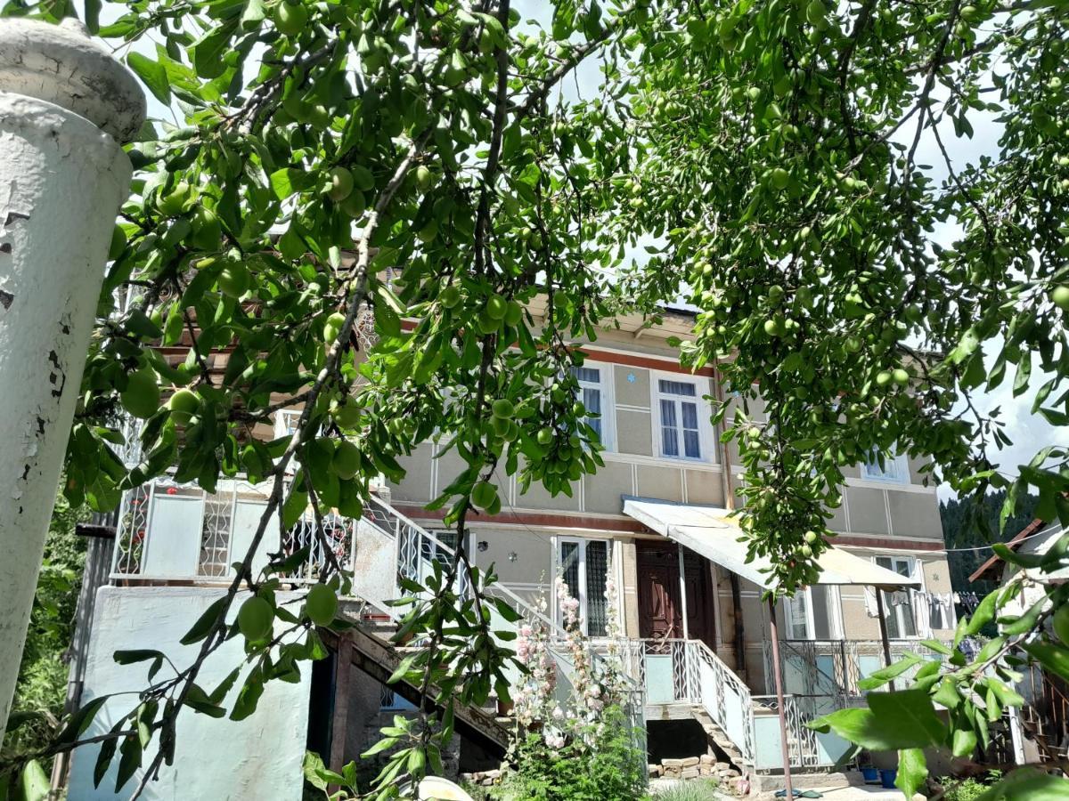 Armazi Hotell Khulo Exteriör bild