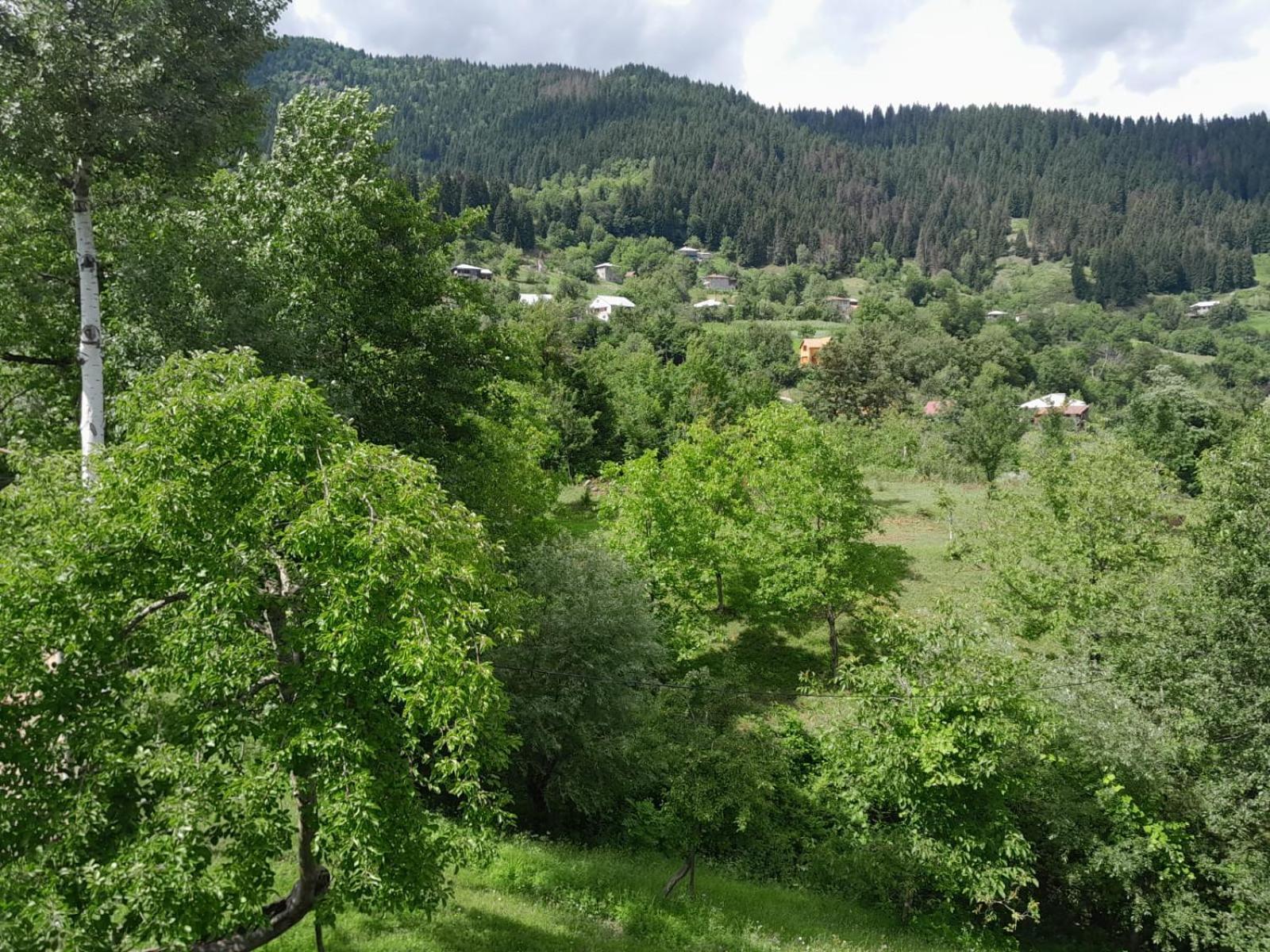 Armazi Hotell Khulo Exteriör bild