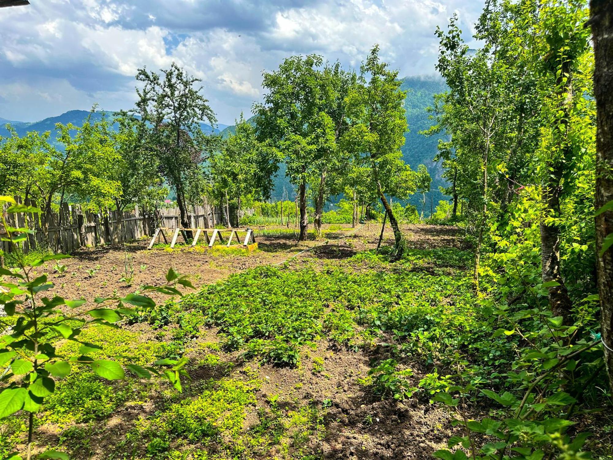 Armazi Hotell Khulo Exteriör bild
